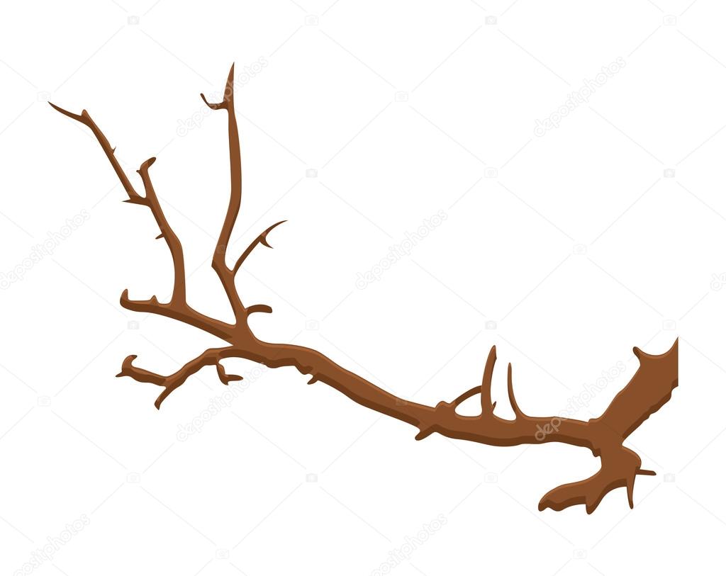 Dry Tree Branch
