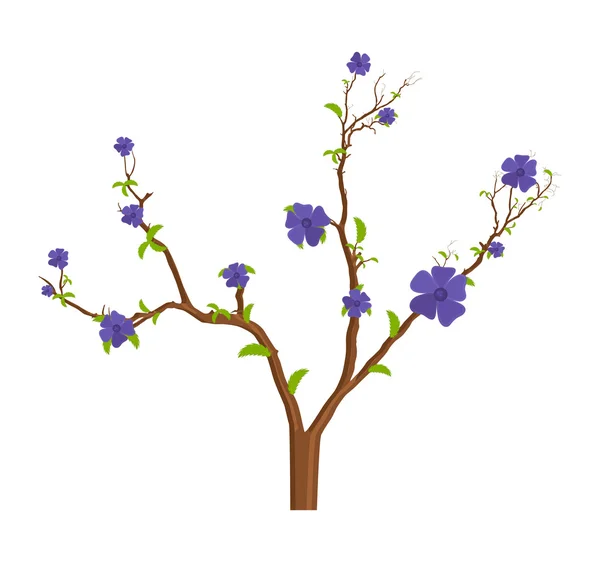 Fleurs violettes Branches d'arbres — Image vectorielle