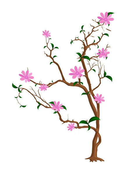 Hermosas ramas de flores — Vector de stock