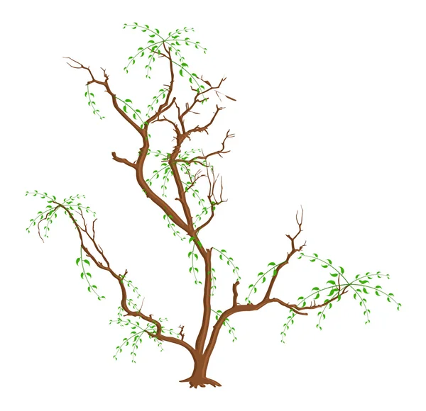 Árbol solo — Vector de stock