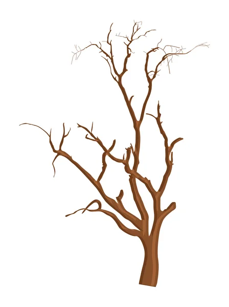 Shape of Dead Tree Branches — Stock Vector