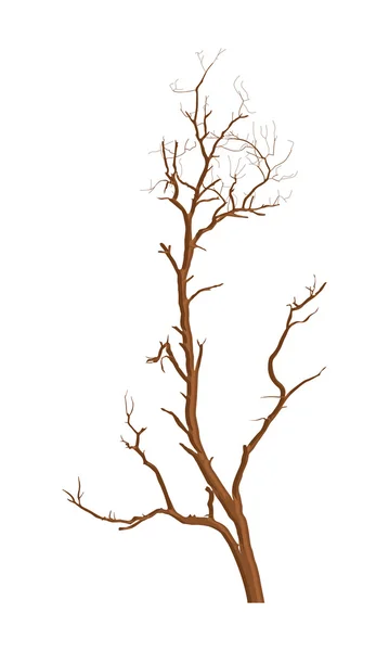 Suchý strom Vektorová Design — Stockový vektor