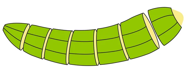 Green Banana Slices — Stock Vector