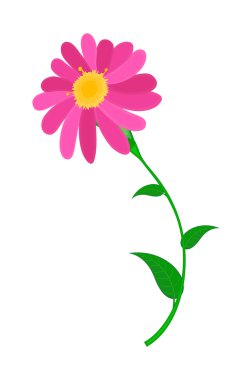 güzel pembe çiçek