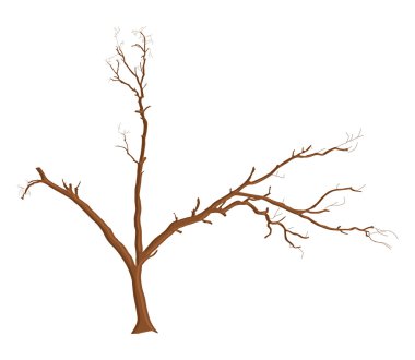 Ölü ağaç tasarım öğesi