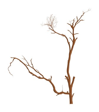 Ölü ağaç çizim sanatı
