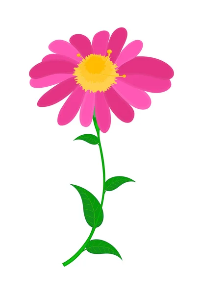 Elemento de diseño de flor rosa — Vector de stock