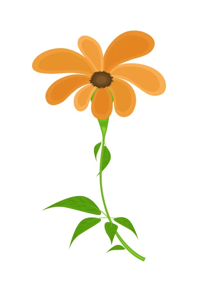 Vektor oranžová květina — Stockový vektor