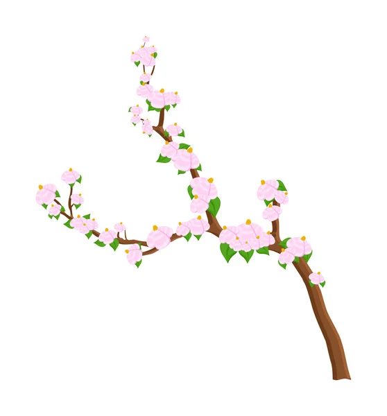 Blumen Zweigvektor — Stockvektor
