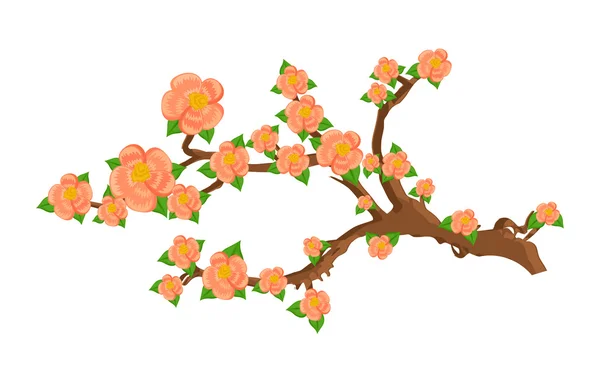 Rama de flores — Vector de stock