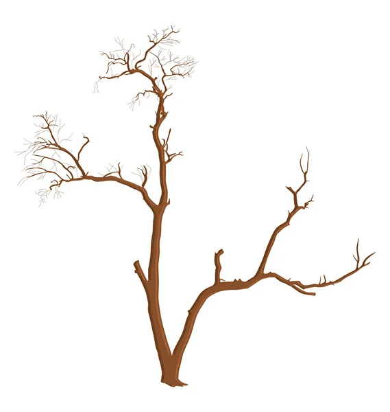 Elemento de forma de árbol muerto — Vector de stock