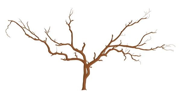 Ramas de árboles muertos Diseños — Vector de stock