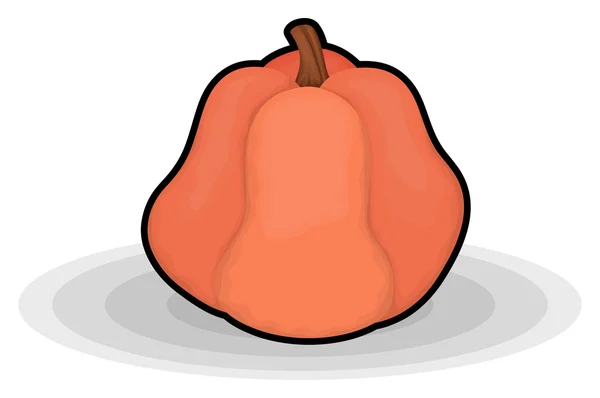 Waste Pumpkin Vector — Stock Vector