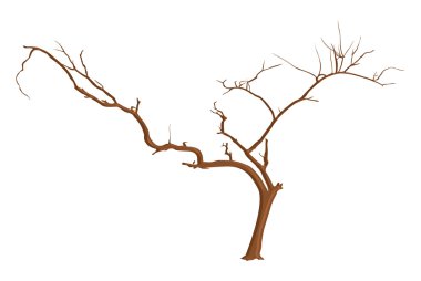 Tasarım sanat ölü ağaç dalları