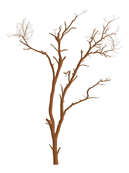 Dead Tree Vector Shape Design — Stock Vector