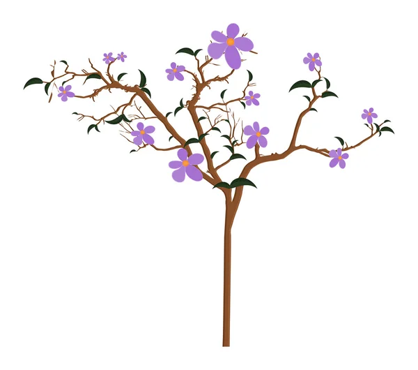 Větve květin příroda — Stockový vektor