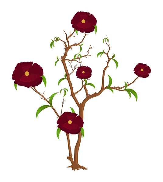 Branches Fleurs Conception vectorielle — Image vectorielle