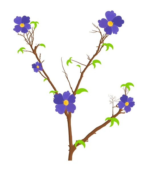 Nature Flowers Branches Vector — Stock Vector