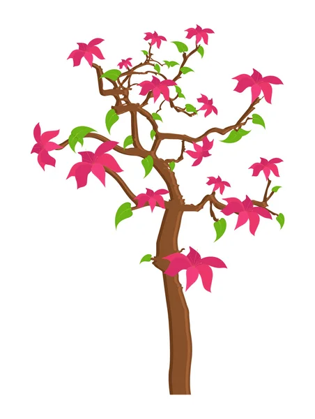 Natuur roze bloemen boom — Stockvector