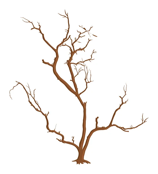 Spooky döda trädet grenar vektor — Stock vektor