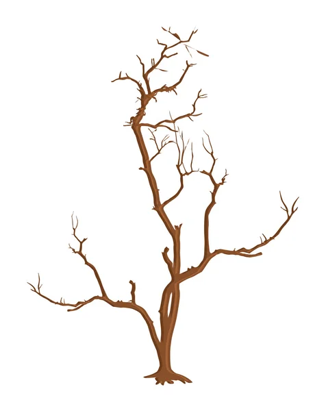 Effrayantes branches d'arbres morts — Image vectorielle