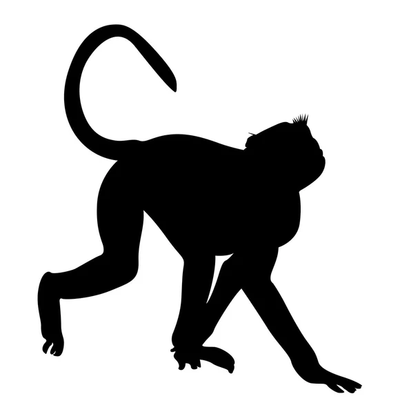 Affengestalt — Stockvektor