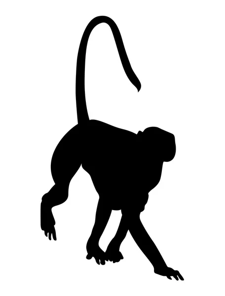 Silhouette de singe — Image vectorielle