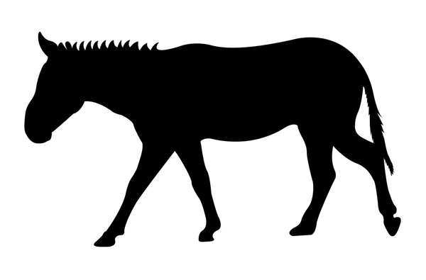 Forma animal burro —  Vetores de Stock
