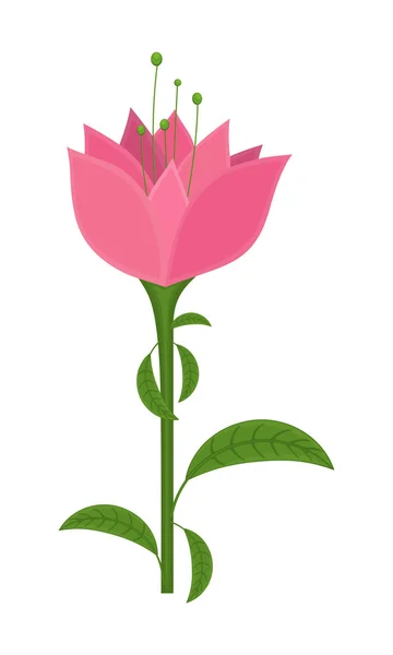 Roze decoratieve bloem illustratie — Stockvector