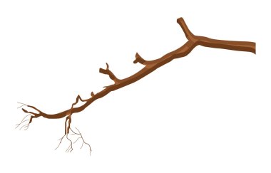 Dry Tree Branch Element clipart