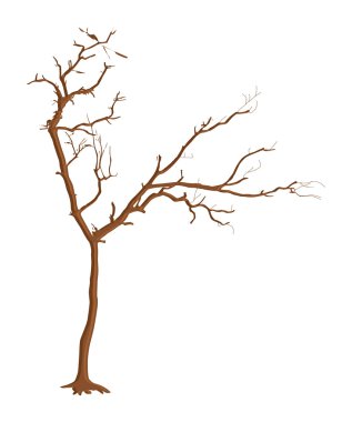 Ürkütücü ölü ağaçlar