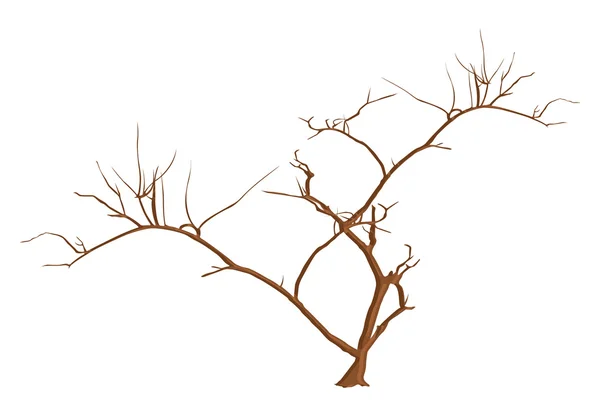 Страшные ветви деревьев — стоковый вектор