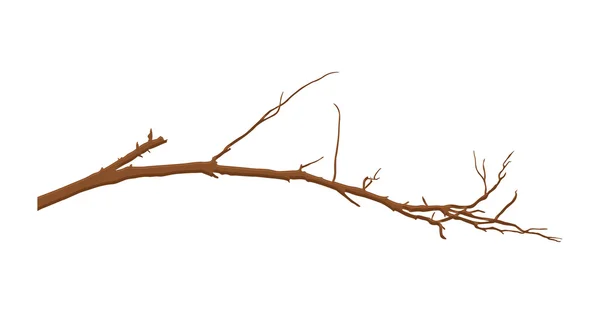 Elemento ramo albero morto — Vettoriale Stock