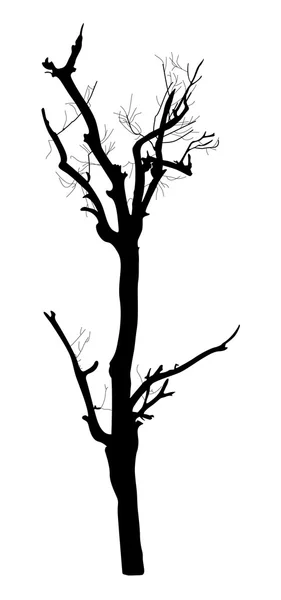 Silhouette albero morto — Vettoriale Stock