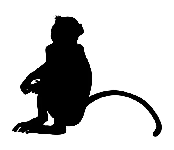 Sitting Monkey Shape — Stock Vector