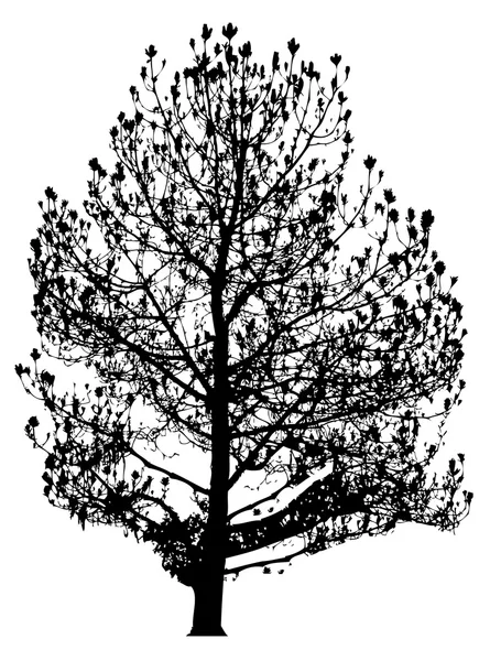 Árbol urbano forma vectorial — Vector de stock