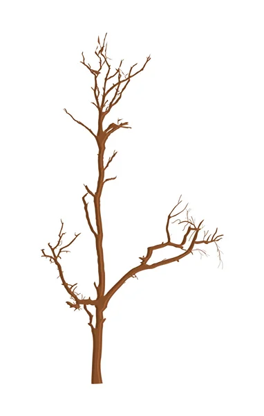 Mrtvý strom vektor — Stockový vektor