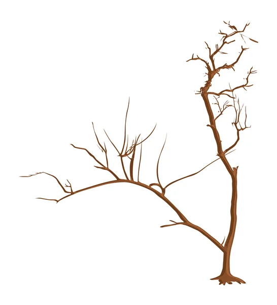 Árbol muerto de otoño — Vector de stock