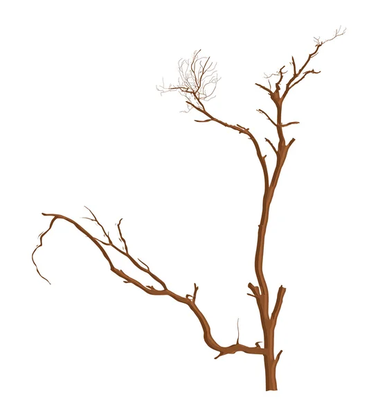 Ветви мёртвого дерева — стоковый вектор