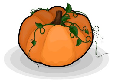 Kabak çiçek öğeleri