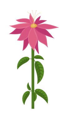 Pembe vektör çiçek