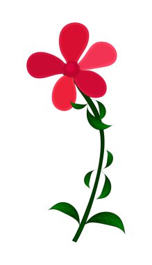 Kırmızı Daisy öğesi tasarım