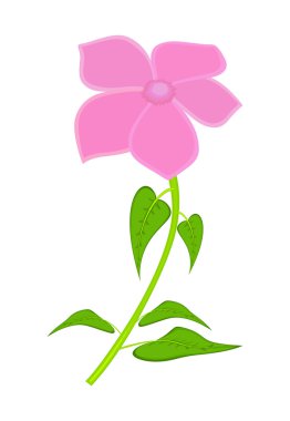 Pembe çiçek tasarım