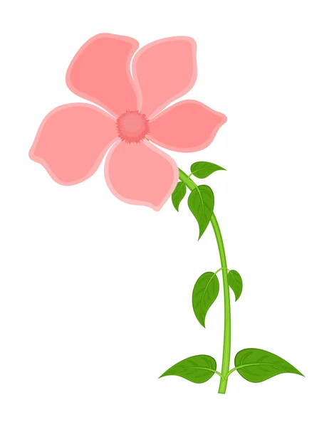 Vintage plante de fleur — Image vectorielle