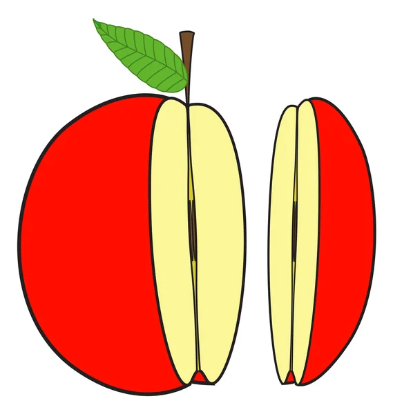 Segmenten van apple — Stockvector