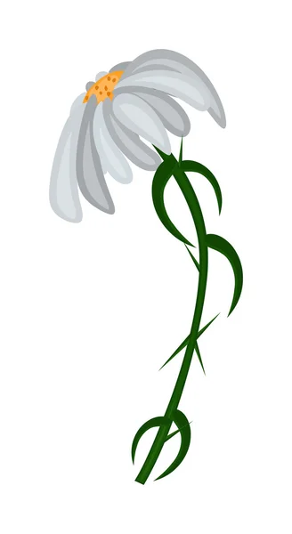 Flor blanca Diseño abstracto — Vector de stock