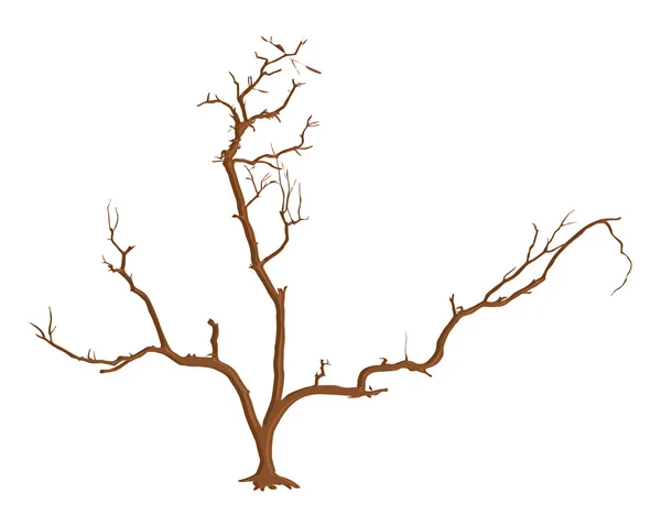 Stelo dell'albero morto — Vettoriale Stock
