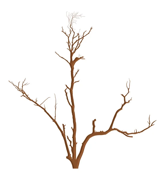 Nature Garden Dead Tree Vector — Stock Vector