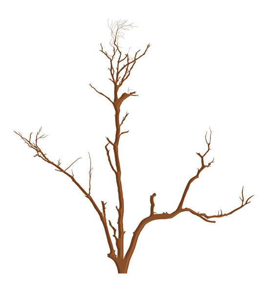 Nature Garden Dead Tree Vector