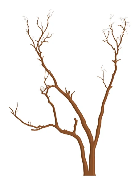 Ramas de árboles muertos Elementos Diseño — Vector de stock